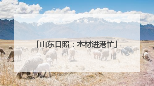 山东日照：木材进港忙